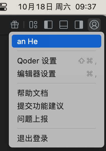 Qoder设置